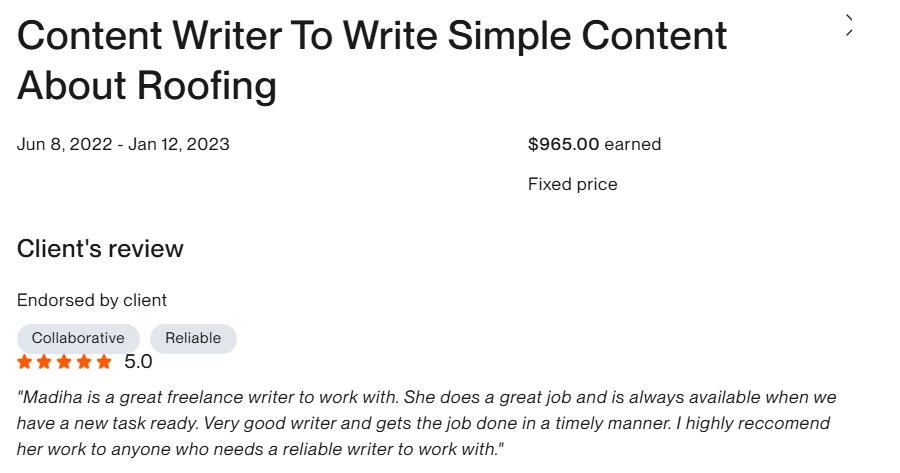 Verified Upwork client review for this project